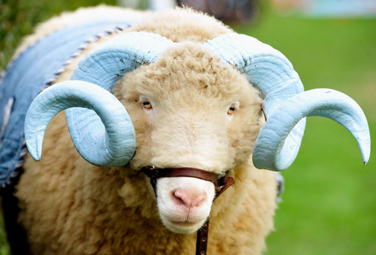 Rameses